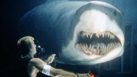 深海狂鲨在线观看免费,惊险海底探险,生死搏斗一触即发! 第2张 深海狂鲨在线观看免费,惊险海底探险,生死搏斗一触即发! 第2张