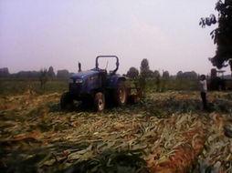 民间土地爆料视频,真实事件背后的土地争议与维权之路  第2张 民间土地爆料视频,真实事件背后的土地争议与维权之路  第2张