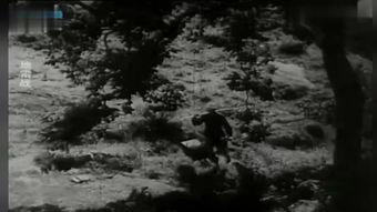 在线观看地雷战,烽火岁月里的英雄传奇  第3张 在线观看地雷战,烽火岁月里的英雄传奇  第3张