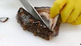 海参厨师爆料视频大全,独家爆料视频大全背后的烹饪奥秘  第2张 海参厨师爆料视频大全,独家爆料视频大全背后的烹饪奥秘  第2张