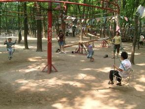 黄河公园爆料视频播放,揭秘公园美景与神秘事件  第3张 黄河公园爆料视频播放,揭秘公园美景与神秘事件  第3张