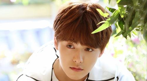 娱乐圈爆料客马天宇,揭秘明星背后的故事  第2张 娱乐圈爆料客马天宇,揭秘明星背后的故事  第2张