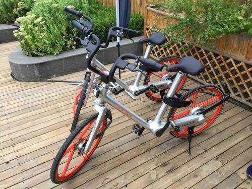 最新土坡自行车爆料视频,最新爆料视频带你领略速度与激情  第3张 最新土坡自行车爆料视频,最新爆料视频带你领略速度与激情  第3张