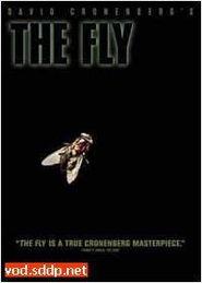 变蝇人在线观看,穿越时空的惊悚之旅  第2张 变蝇人在线观看,穿越时空的惊悚之旅  第2张